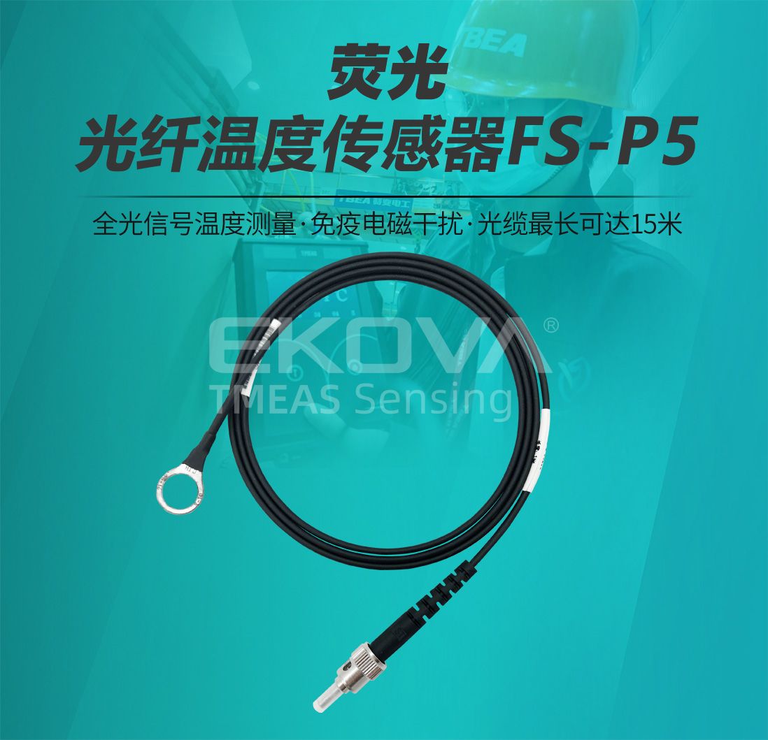 熒光光纖溫度傳感器FS-P5